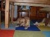 dscf0035