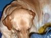 dscf0075