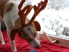 weihnachten-und-op-068