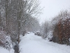 weihnachten-und-op-088