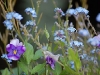 2011aprilostern-067