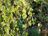 2011aprilostern-068