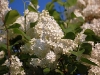 2011aprilostern-074