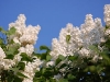 2011aprilostern-075