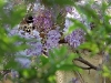 2011aprilostern-094