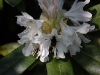 2011aprilostern-107