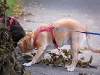 2010-november-048