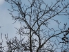 2010-november-051