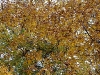 2010-november-053