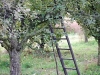 2010-november-058