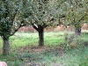 2010-november-060