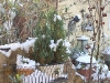 2010-dezember-045